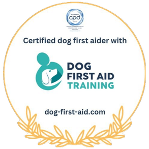 Certified dog first aider